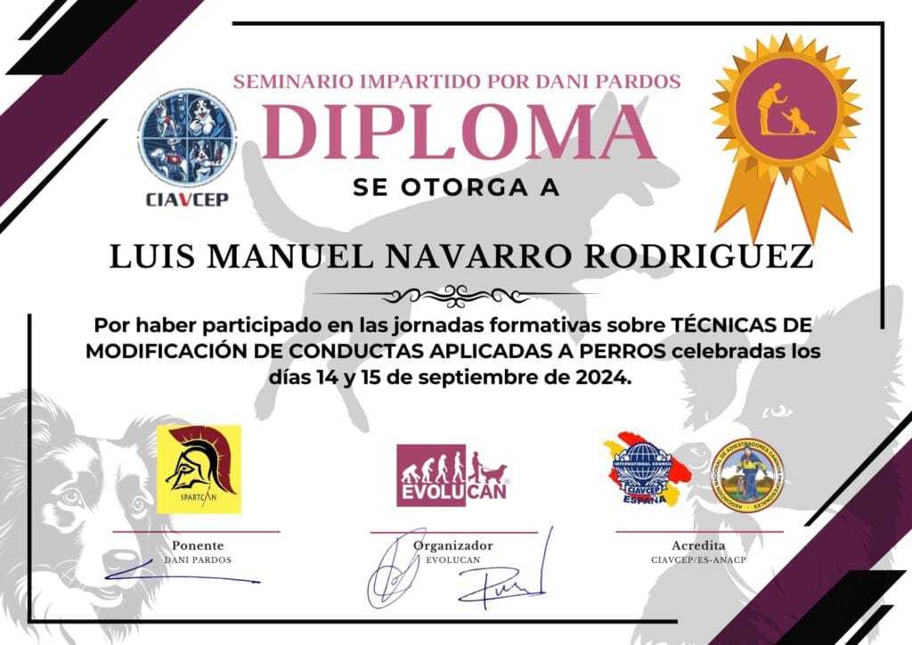 LUIS MANUEL NAVARRO