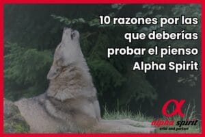 articulo beneficios pienso alpha spirit perros
