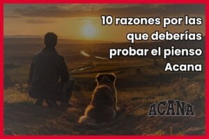 opinion pienso acana