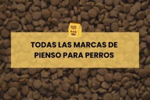 ¿Cuál es el mejor pienso sin granos para tu perro (1)